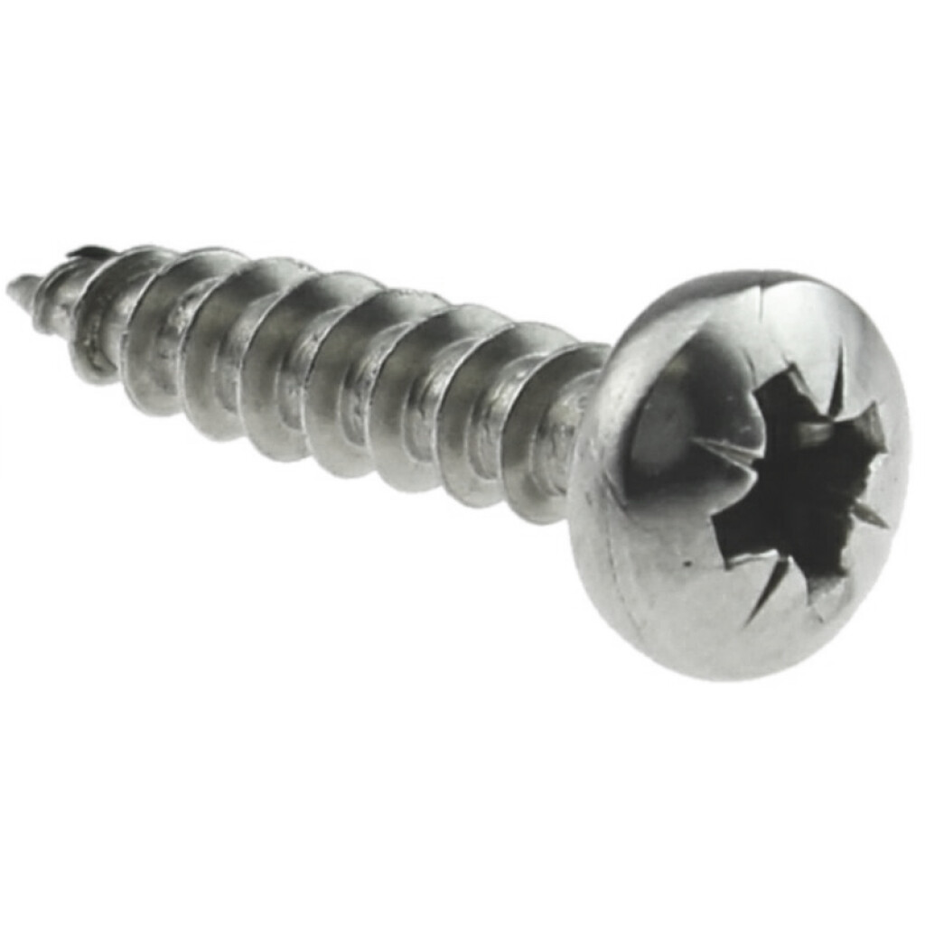 Chipboard screws pan head  5   x  55 zinc-plated